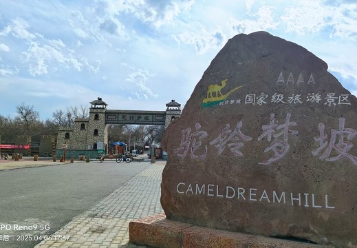 驼铃梦坡 刘淑英摄